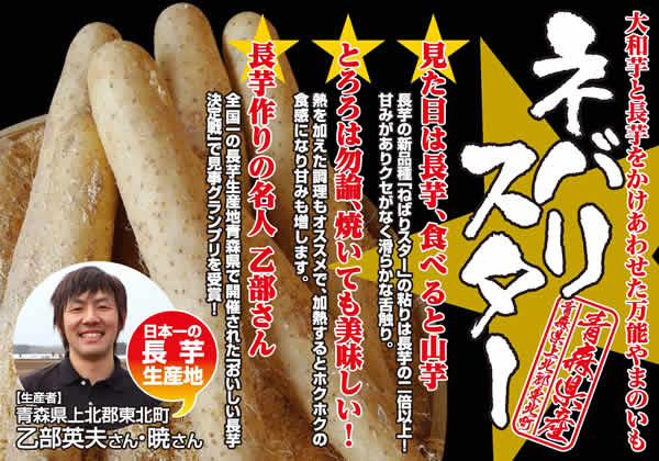 ネバリスター(長芋)