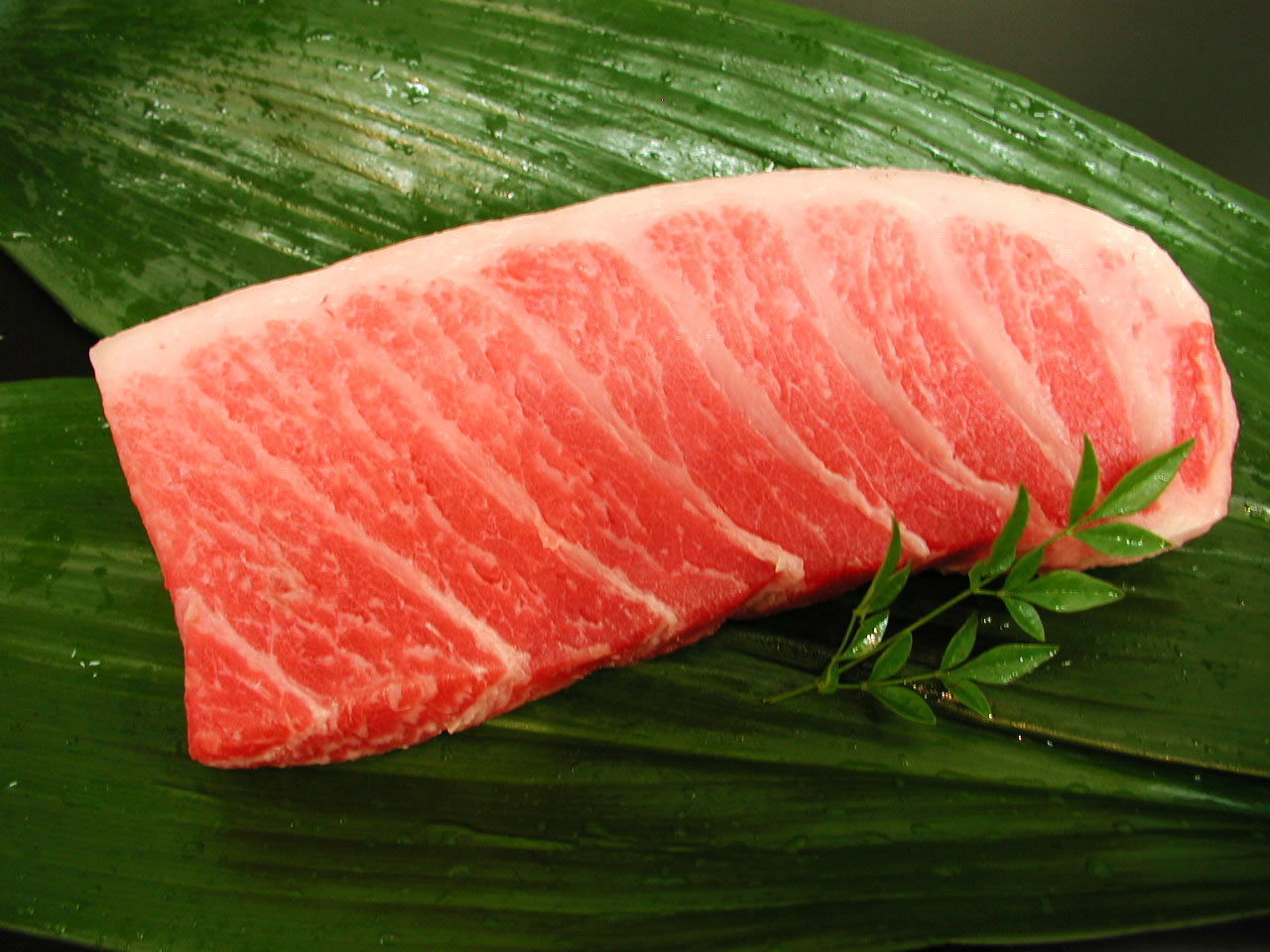 本マグロ大トロ(長崎/養殖)