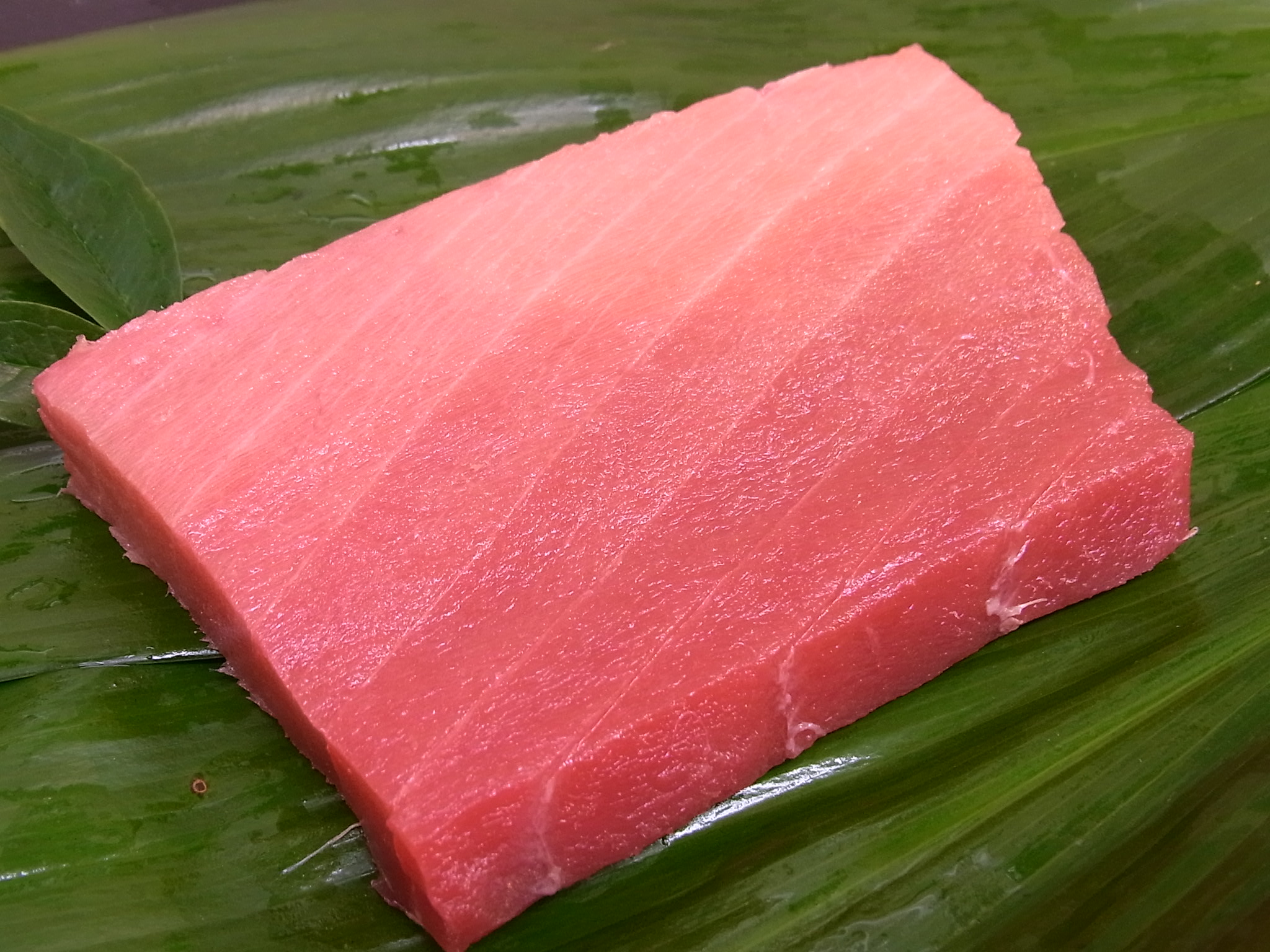 本マグロ中トロ(長崎/養殖)